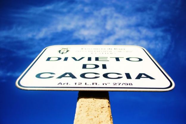 vittime della caccia stagione 2011 2012