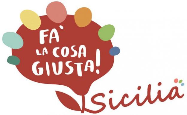 linee-guida-marchio.indd fa la cosa giusta sicilia