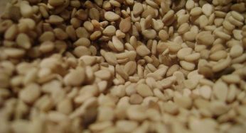 Proprietà benefiche del sesamo: 6 valori nutrizionali