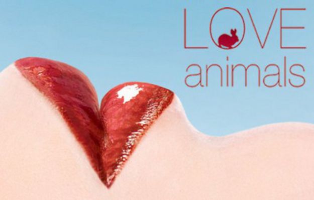 stop ai test sugli animali stop ai test sugli animali