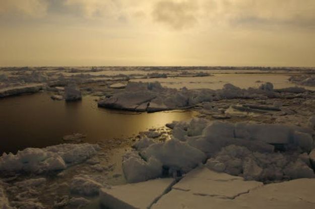 TO270309EST_0132 cambiamenti climatici vertice