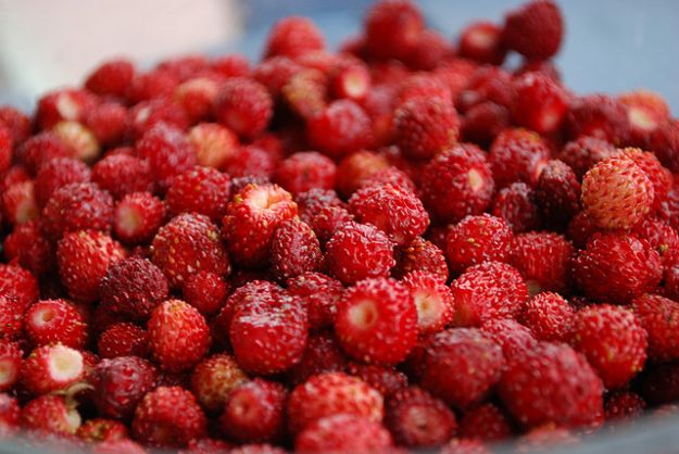 frutta-e-verdura-di-stagione-a-settembre frutta e verdura di stagione a settembre