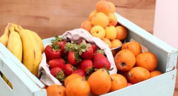 Mercati a chilometro zero a Milano: dalle cascine ai servizi internet