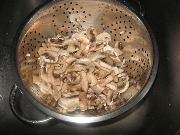 Funghi Funghi