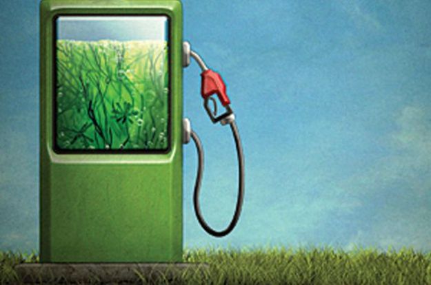 auto-ecologica-a-urina auto ecologica a urina