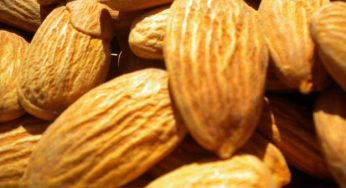 Mandorle: proprietà, benefici, controindicazioni e usi cosmetici