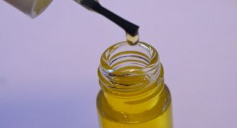 Olio di jojoba: usi e proprietà