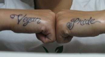 Frasi per tatuaggi sugli animali: gli aforismi più belli