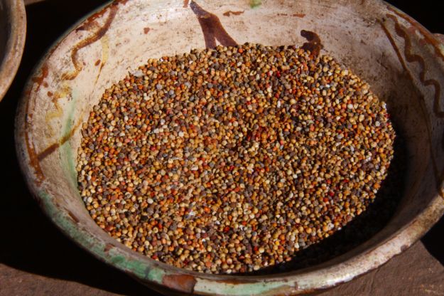 Red Quinoa Red Quinoa