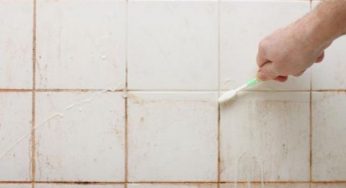 Rimedi naturali contro la muffa: una guida pratica