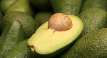 Avocado: proprietà benefiche e ricette