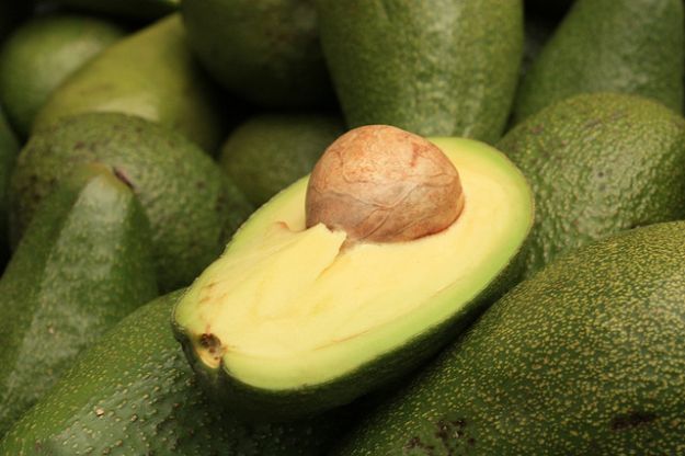 avocado-ricette avocado ricette