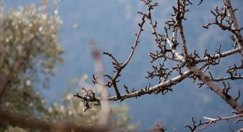 Come affrontare il cambio di stagione: una guida naturale contro lo stress