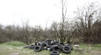 Ecomafie, il rapporto di Legambiente: il 47% dei reati al Sud Italia