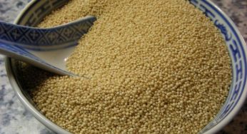 Amaranto: proprietà e ricette per una cucina veg