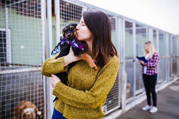 L'adozione di un cane comporta importanti responsabilità Adottare un cane è una importante responsabilità, ecco come procedere