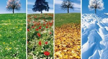 Che stagione sei? [TEST]