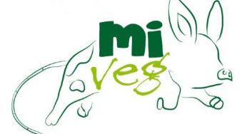 MiVEG: festival vegano a Milano in difesa degli animali
