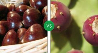 Quale frutta e verdura di ottobre preferisci?