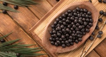 Bacche di Acai: le proprietà dell’alleato naturale della salute