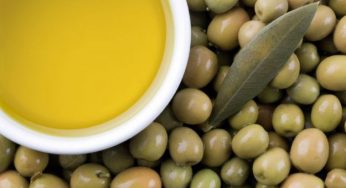 Olio d'oliva: proprietà nutrizionali e benefici