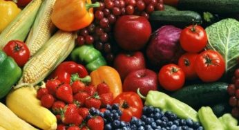 Quanto ne sai sull'alimentazione vegana? [QUIZ]