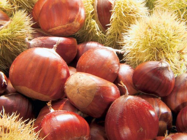 ricette- vegetariane-castagne ricette vegetariane castagne