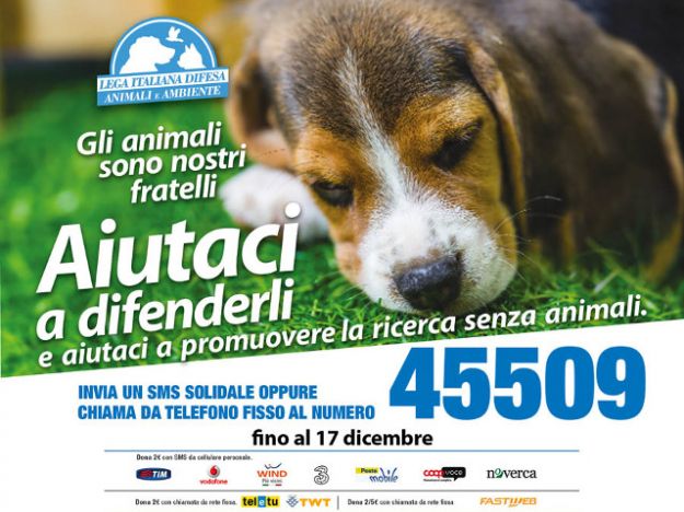  CAMPAGNA SMS SOLIDALE LEIDAA 2014 orizzontale