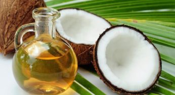Olio di cocco: le proprietà curative