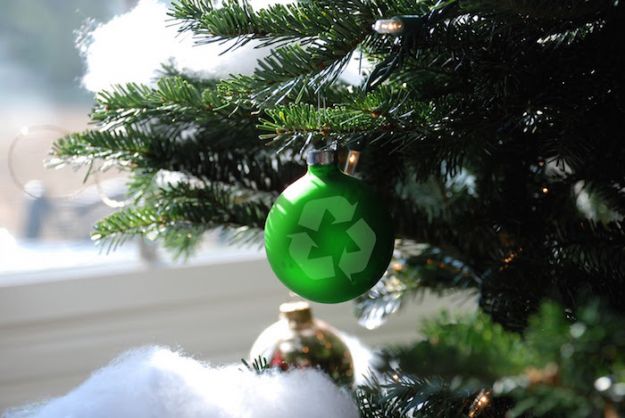 test-natale-ecologico test natale ecologico