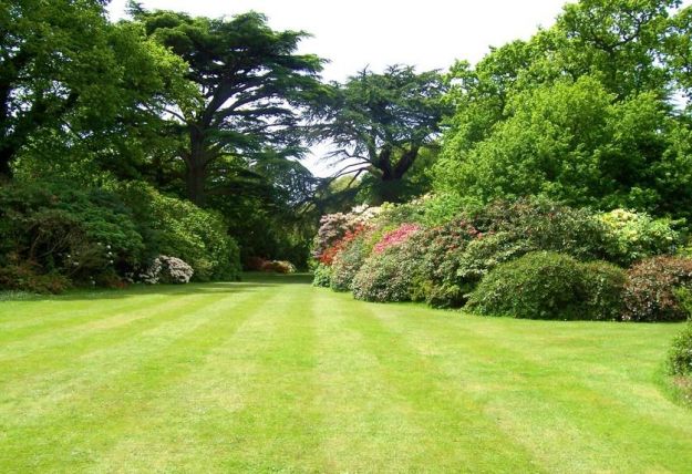 lavori in giardino nel mese di marzo