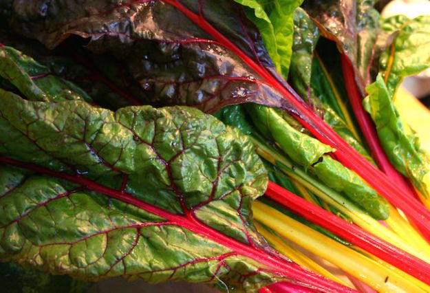 ricette-vegan-con-le-bietole ricette vegan con le bietole