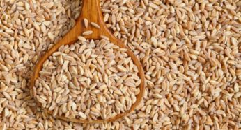 10 ricette vegetariane con il farro