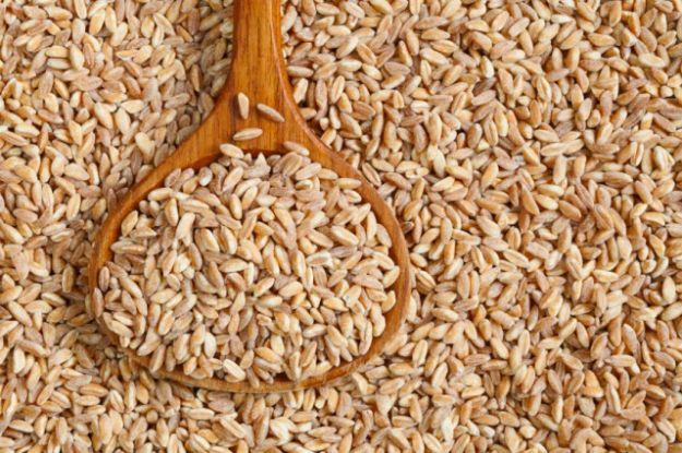 ricette-vegetariane-con-il-farro ricette vegetariane con il farro