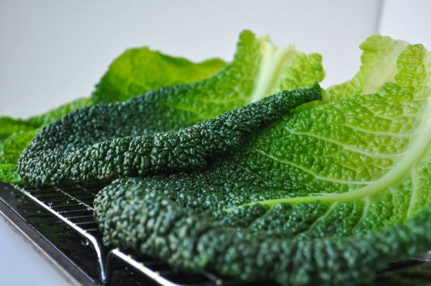 ricette-vegetariane-con-la-verza ricette vegetariane con la verza