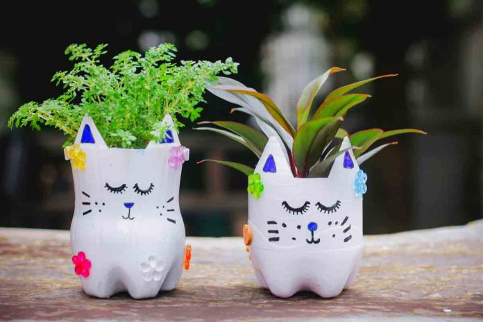 Vasi con bottiglie di plastica Vasi per piante con bottiglie di plastica