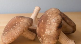 Alimenti ricchi di vitamina B5: la lista completa