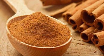 Cannella: proprietà e benefici