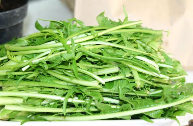 cicoria-ricette-veg cicoria ricette veg