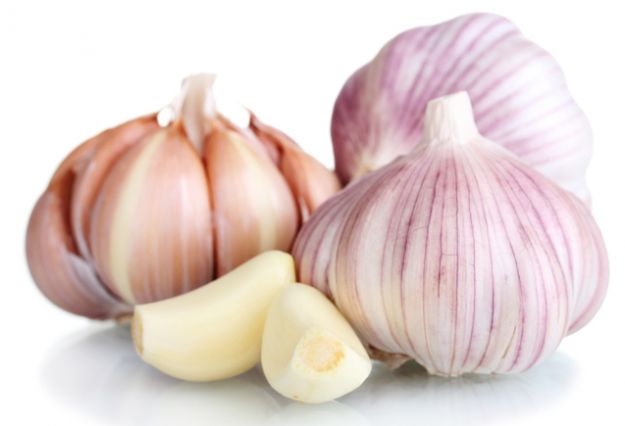 fresh garlic isolated on white come coltivare aglio orto vaso