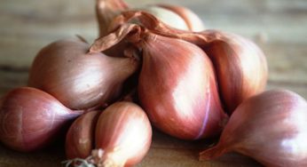 Come e quando coltivare lo scalogno