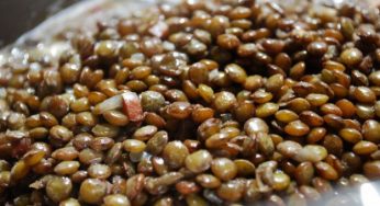 Come cucinare le lenticchie: consigli e ricette