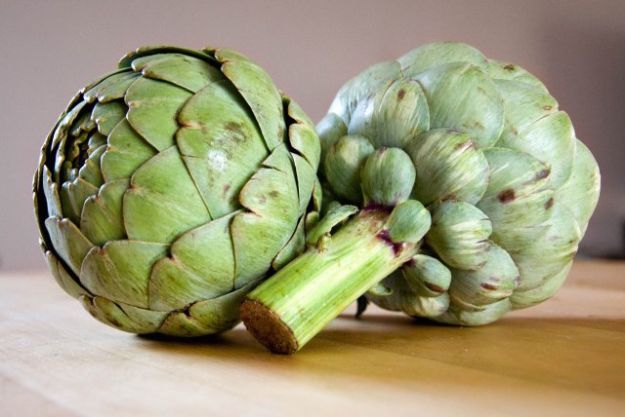 come-coltivare-i-carciofi-nell-orto come coltivare i carciofi nell orto