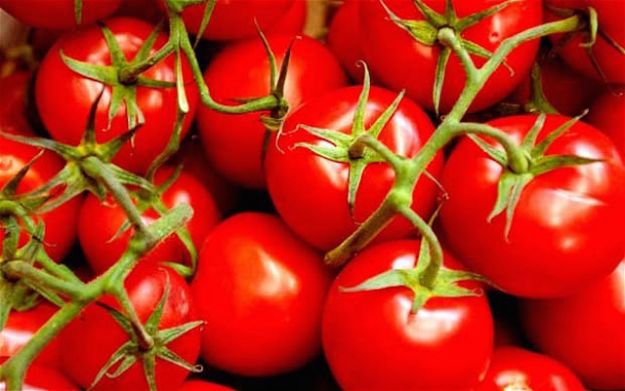 come-coltivare-i-pomodori-nell-orto come coltivare i pomodori nell orto
