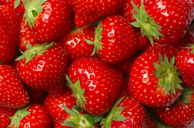 come-coltivare-le-fragole-in-vaso come coltivare le fragole in vaso