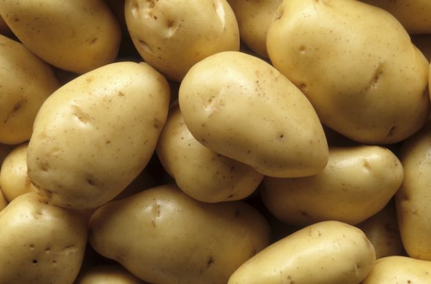 come-coltivare-le-patate-nell-orto come coltivare le patate nell orto
