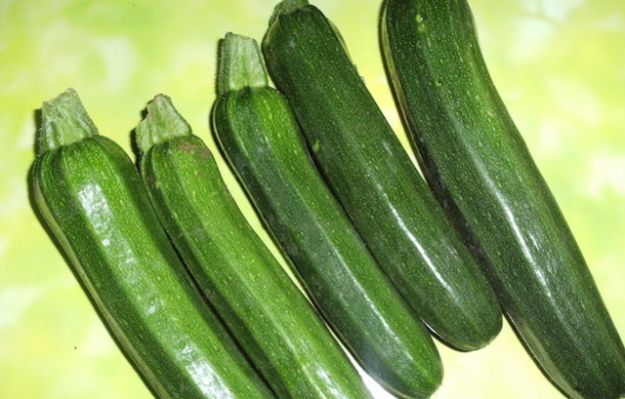 come coltivare le zucchine nell orto