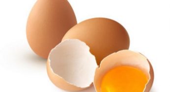 10 falsi miti sulle uova