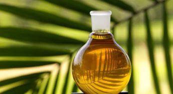L'olio di palma fa male? Ecco perché evitarlo