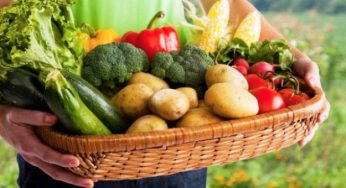 10 ricette veg ricche di magnesio